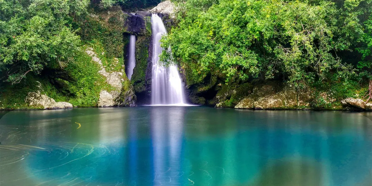 Cascade se jetant dans un bassin d'eau verte, à La Réunion