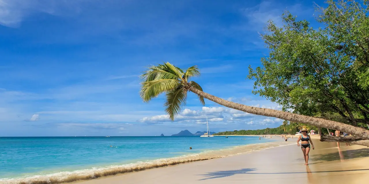 Plage bordée de cocotiers sur la mer des Caraïbes, en Martinique