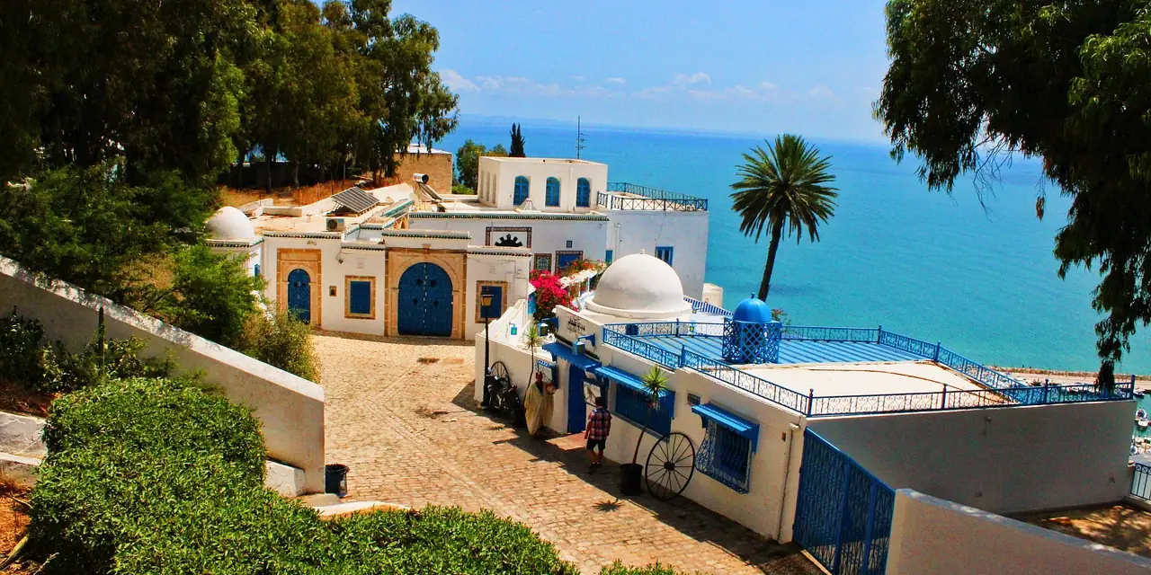 Maisons blanches et bleues de Sidi Bou Saïd face à la mer, en Tunisie